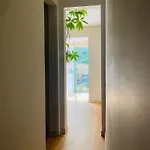 Contemporary Oasis In The Heart Of *