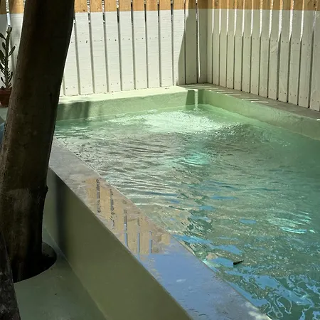 アパート Contemporary Oasis In The Heart Of リスボン