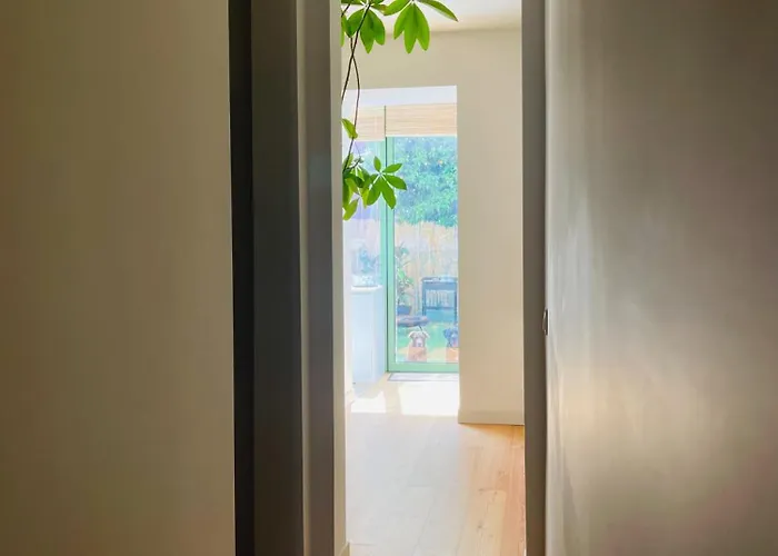 Contemporary Oasis In The Heart Of *